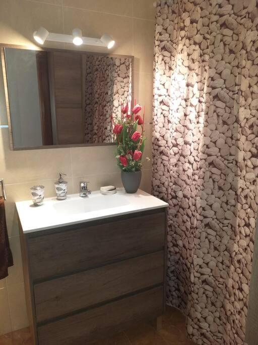 Cal Cucu Apartament